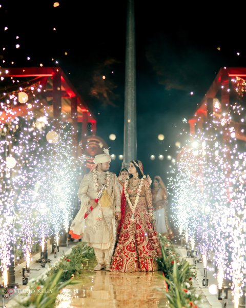 Dr.Priyal & Vikas Wedding